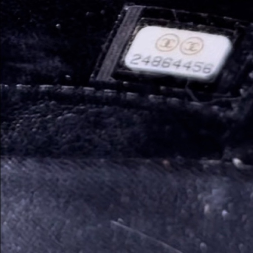 Chanel 18 C Gabrielle Bag in Python - Picture 14 of 14